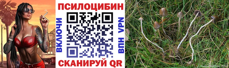 Псилоцибиновые грибы Magic Shrooms  Купить  Ртищево 